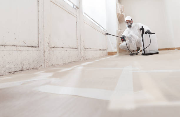 24/7 Emergency Bathroom Mold Removal experts in Roseland, NJ