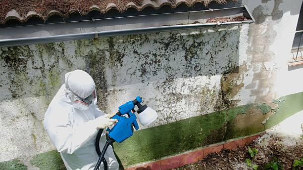 Trusted Mold Testing service in Roseland, NJ - Cheap Mold Removal